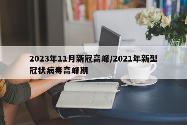 2023年11月新冠高峰/2021年新型冠状病毒高峰期